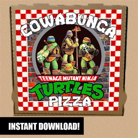 ninja turtles pizza box